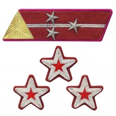 ПОЛКОВНИК, ВОЕНИНЖЕНЕР 1-го ранга войск НКВД, петлицы и нарукавные знаки обр.1935/36 г.г.